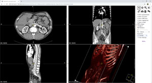 Medical imaging web-service